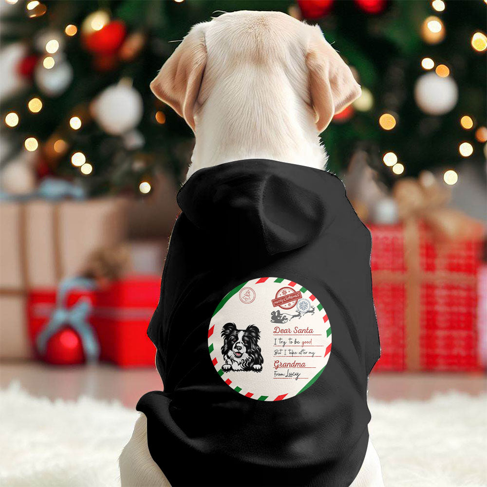 Dear Santa Matching Christmas Pajamas For Family And Pet