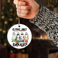 Christmas Personalized Ornament For Cat Lovers