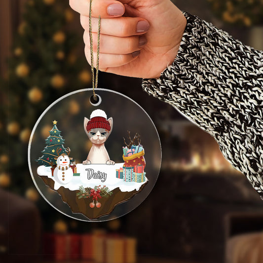 Christmas Personalized Cat Ornaments