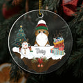 Christmas Personalized Cat Ornaments