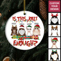 New Christmas Personalized Cat Ornament Is This Jolly Enough