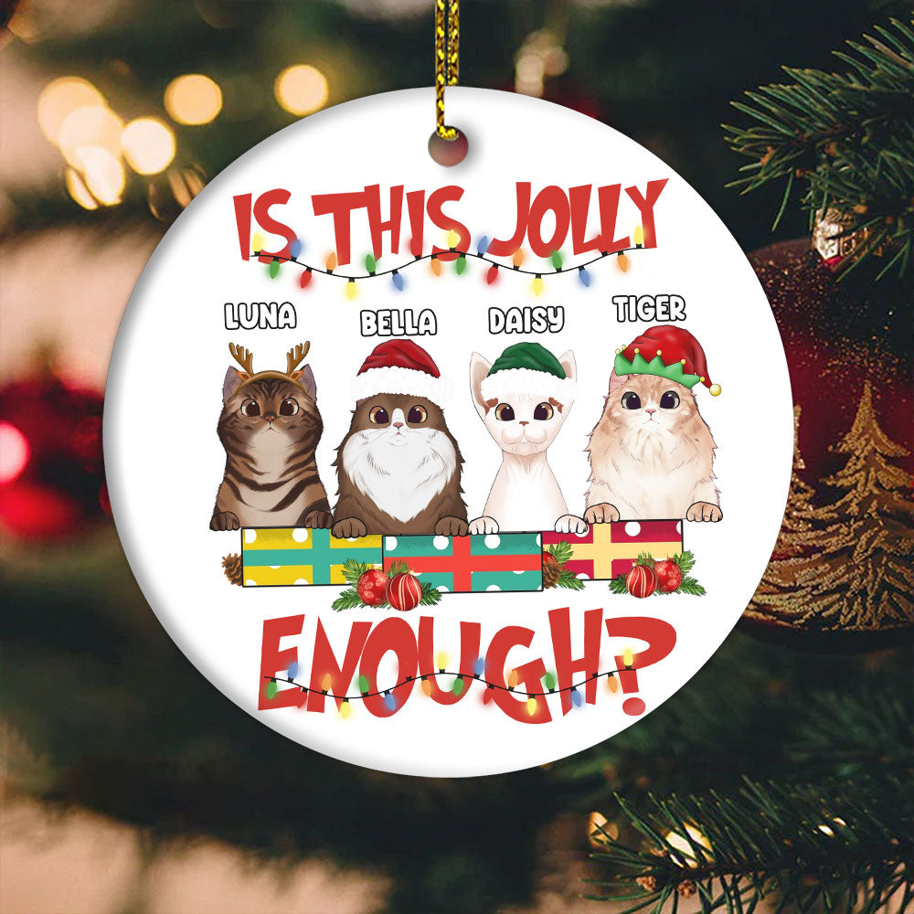 New Christmas Personalized Cat Ornament Is This Jolly Enough