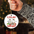 Red Christmas Personalized Ornament For Cat Lovers